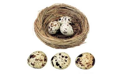 宜興鵪鶉蛋
