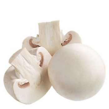 鮮蘑菇.jpg 鮮蘑菇.jpg