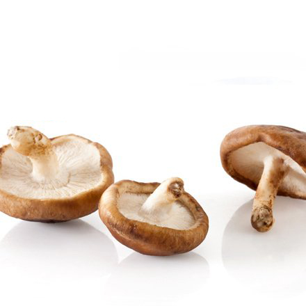 香菇.jpg 香菇.jpg