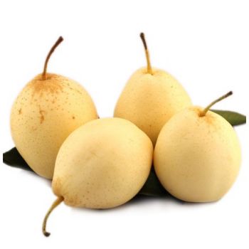 雪梨.jpg 雪梨.jpg