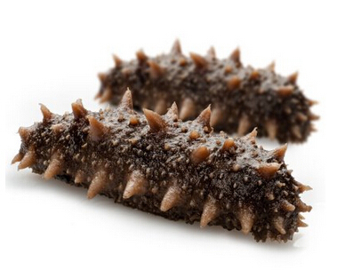 海參.jpg 海參.jpg