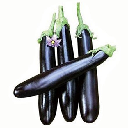 茄子.jpg 茄子.jpg