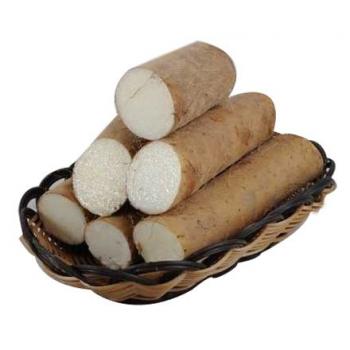 山藥.jpg 山藥.jpg