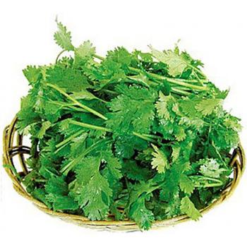 香菜.jpg 香菜.jpg
