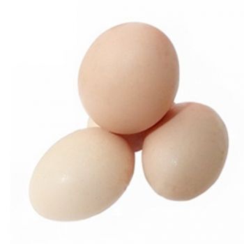 草雞蛋.jpg 草雞蛋.jpg